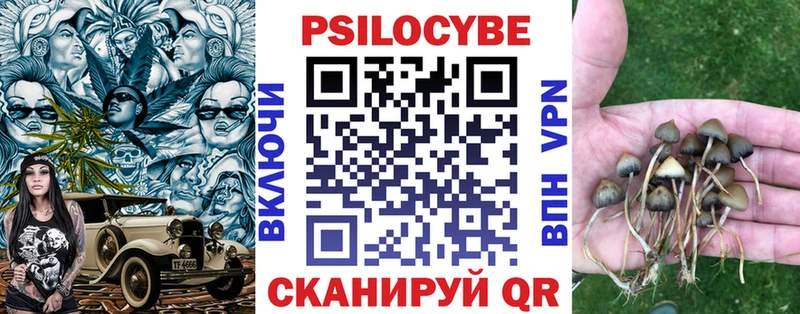Галлюциногенные грибы прущие грибы Купить где Феодосия